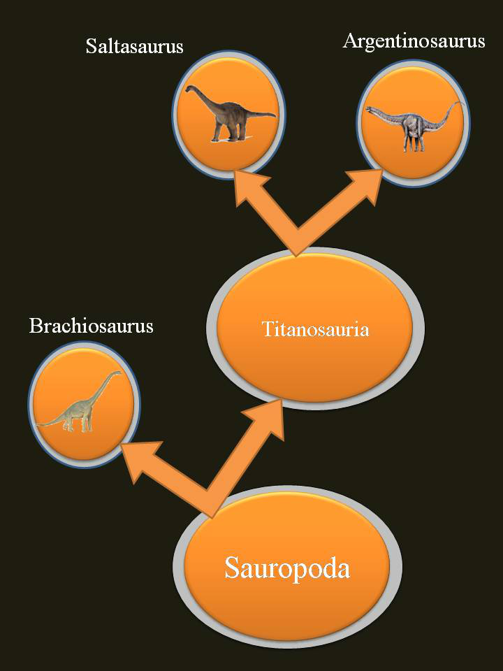 Argentinosaurus family